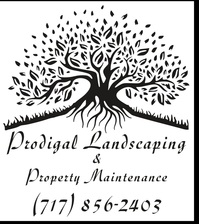 Avatar for Prodigal Landscaping & Property Maintenance - Trang ch Facebook