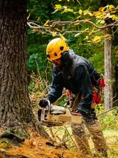 Logo for America Tree Service