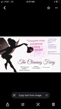 Avatar for The Cleaning Fairy