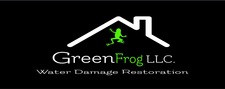 GreenFrog, LLC logo