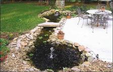 Avatar for 10 000 Lakes Landscaping