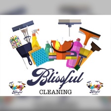 Logo for Blissful Cleaning Co. LLC