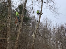 Logo for K&C Tree Services LLC - Home Facebook