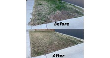 Avilas Lawncare Services logo