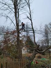 Avatar for J&R Tree & Outdoor Services LLC