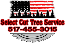 Logo for Select Cut Tree Service