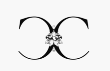Logo for Confident Cleaner's