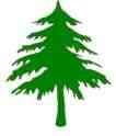 Avatar for Eagle Tree Service, Inc.