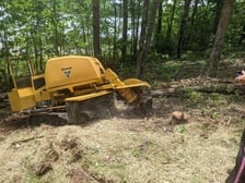 Avatar for DP Stump Busters