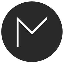 Vega Studio logo