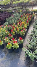 JFB Landscaping logo