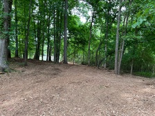 Logo for Tri Star Land Management