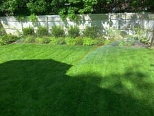 Avatar for Tony Irrigation Senior Technician Services