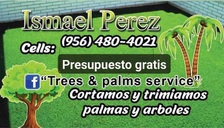 Avatar for Trees & Palms Service