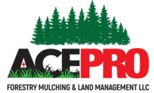Avatar for Ace Pro Forestry Mulching & Land Management, LLC