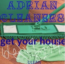 wild cleaning logo