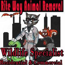 Riteway Animal Removal logo