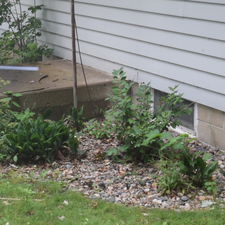 Safebasements Of Minnesota Inc Litchfield Mn 55355