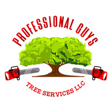 Avatar for Professional Guys Tree Services