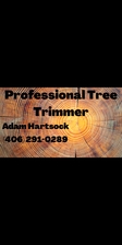 Avatar for A and W Tree Service