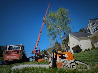 BBB Tree Services logo