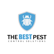 Avatar for The Best Pest Control Solutions - Pgina inicial Facebook