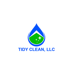 Tidy Clean logo