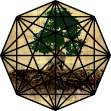 Avatar for Singlehurst Landscape And Maintenance