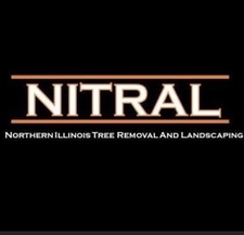 Logo for Nitral