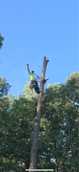 Above The Horizon Tree Service logo