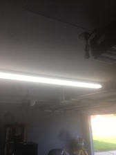 Lights On logo
