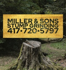 Avatar for Miller and Sons Stump Grinding Services - Pgina inicial  Facebook