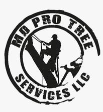 Logo for MD Pro Services LLC