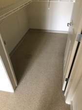 Avatar for Dynamic Floors & More