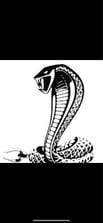 Avatar for Cobra Sewer Services