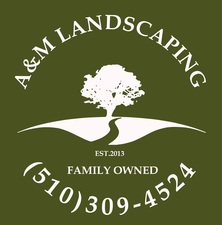 A&M Landscaping logo