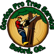 Logo for Gordon Pro Tree Service, LLC