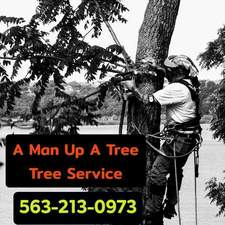 A Man Up a Tree Tree Service logo