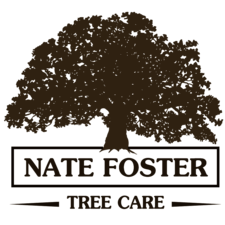 Avatar for Nate Foster Tree Care