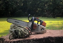 Logo for Dennis Tree Service