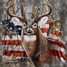 Avatar for Country Boys Contracting