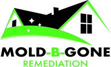 Mold B Gone 313 logo