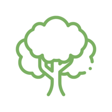 Logo for Southern Roots Tree Removal
