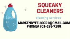 Squeaky Clean Cleaning Services logo