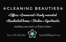 Logo for Cleaning Beauties