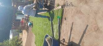 Yandels Landscaping logo