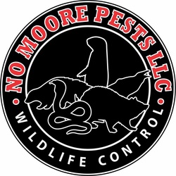 No Moore Pests, LLC logo