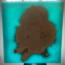 Avatar for Rustic Coyote Furniture