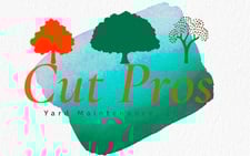 Avatar for Cut Pros Yard Maintenance, LLC