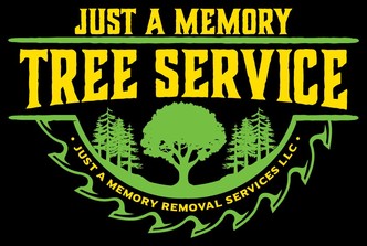 Just a Memory Removal Services, LLC logo
